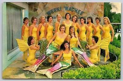 Postcard Mermaid Capital Of The World Weeki Wachee FL Yellow J37 • $11.97