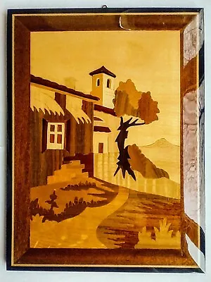 Vintage Handmade Marquetry Wooden Inlaid Picture Wall Art 1960s Retro  • $24.80