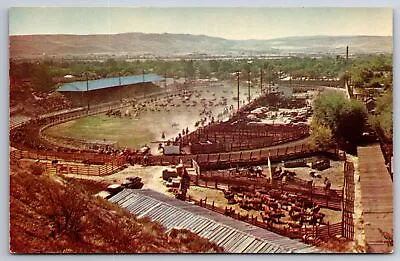 Ellensburg Washington~Aerial View Rodeo Grounds~Labor Day Rodeo~c1960 Postcard • $12