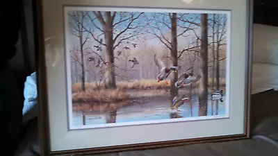 Maynard Reece Signed & Numbered Mallard Lithograph • $100