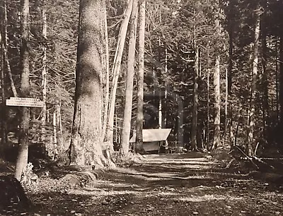 Early Photo Park Boundary. Mt Rainier Washington. C 1920 Rainier National Park • $34.95