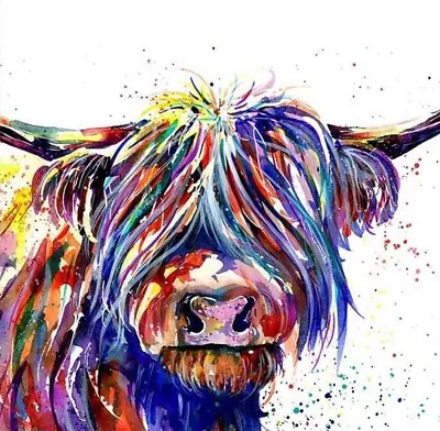 DIY Paint By Numbers For Adults Beginner-Colorful Highland Cow Animal-Canvas Oi • £12.69