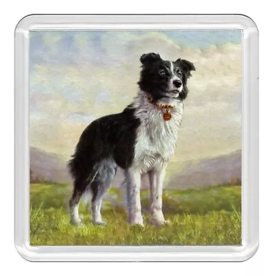 Border Collie Dog Acrylic Coaster Novelty Drink Cup Mat Great Gift • £3.49