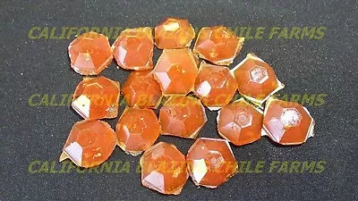 £8.34 • Buy Ghost Pepper Tear Drop Candy ~ Organic Peppers W/ Variety Of Flavors