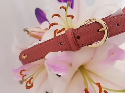 LACOSTE Women Split Cow Leather Slim Belt Size 90/36 RRP:EUR 75 • £28