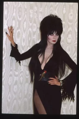 Elvira Busty Risque Black Dress Pin Up Vintage Photo Agency 35mm Transparency • $29.99