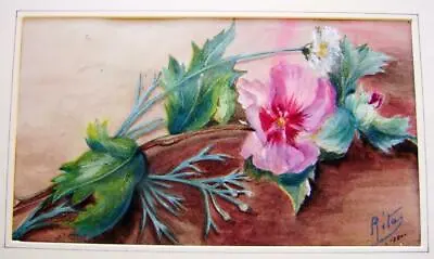 Flowers A Japanese Anemone Rita French School 1880 • £33
