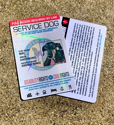 $39.99 • Buy Service Dog Id Card With Registration - Holographic