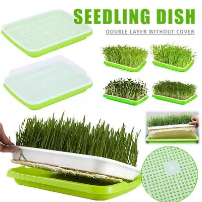 1/2/4/6 PCS Soil-Free Microgreens Growing Trays Seeding Germination Tray Garden • $9.44