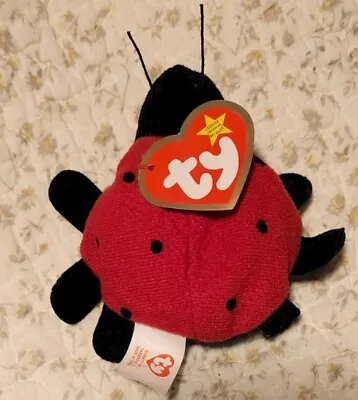 Ty Lucky The Ladybug 1999 Teenie Beanie Babies McDonald's Toy Hanging & Tush Tag • $4.07