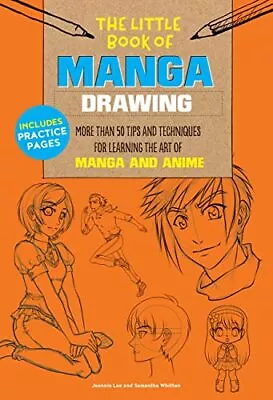 The Little Book Of Manga Drawing: More Than 50 Tips And Techniques For Learning • £3.02