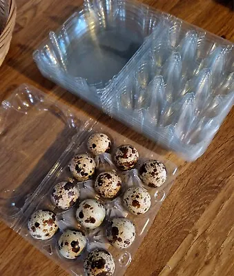 X25 Quail Egg Boxes / Cartons - Recyled Plastic  • £8