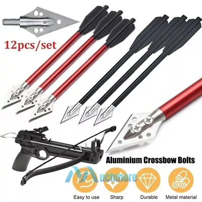 Aluminium Crossbow Bolts Arrows 6.5  For 50-80lbs Mini Crossbow Archery Pistol • $18.75