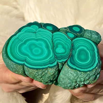 1.39LB Natural Glossy Malachite Transparent Cluster Rough Mineral Sample • $0.99