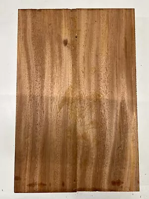 African Mahogany Body Blank 2 Pcs Glued | 21 X 14 X 1-7/8  | 14 Lbs #232 • $16.50