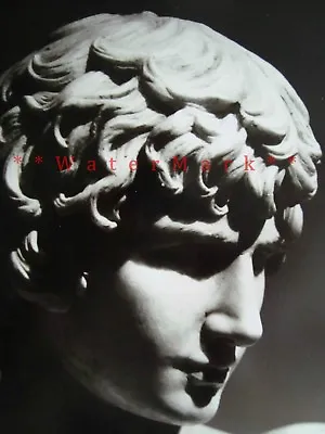 Florence Italy David Italian Statue B/W Vintage Poster Print Retro Style Art • $19.40