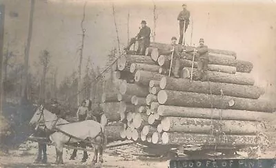 NW RPPC Northwestern Michigan Counties Logging Company HISTORICAL CREW VIEWS! 12 • $22.99