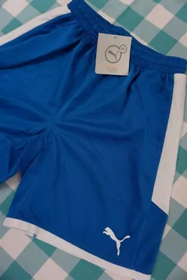PUMA Mens Size SMALL Shorts TRUE ROYAL BLUE & WHITE Dri-Fit Soccer Sports #343 • $11.99