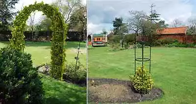 £14.95 • Buy Arch Or Obelisk Metal Garden Climbing Climber Plants Roses Ivy Plants Trellis 