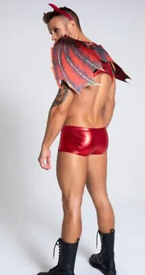 Yandy Men's Speed Demon Red Wings Costume Accessory Halloween Dress Up • $12