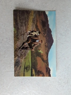 £0.99 • Buy Vintage Gomis Postcard Keswick Shepherd Lkd 334