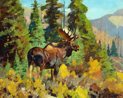 Majestic Moose Wildlife Mountain Nature Ceramic Tile Mural Backsplash • $94