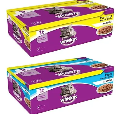 £9.97 • Buy WHISKAS 1+ ADULT POUCHES 85G Poultry Or Fish Wet Cat Food In Jelly Feed Bp Meals