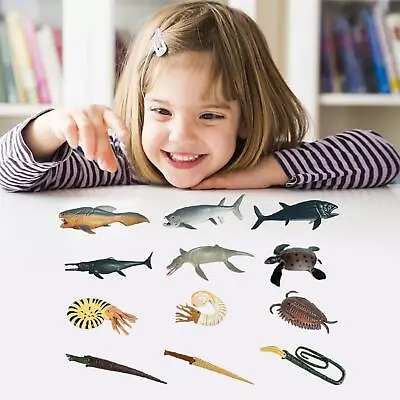 12Pcs Lifelike Animal Model Miniature Statues For Prehistoric Sea Life • $12.12