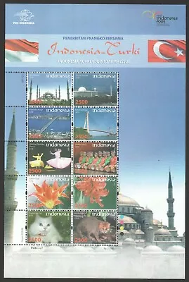 Indonesia 2008 Turkey Joint Issue (cat Dance Bridge & Mosque) Souvenir Sheet • $3.50