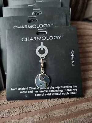 Charmology Yin Yang Charm  • £2.85