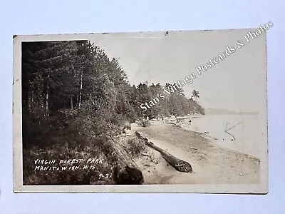 RPPC Manitowish Wisconsin~Virgin Forest Park~ Vintage Postcard • $25.73