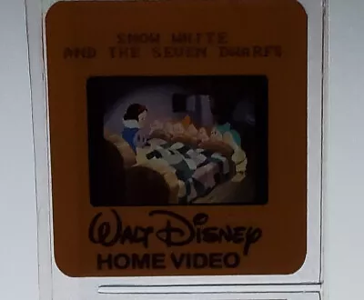 Walt Disney Treasures Press Kit Slide Transparencies (4) • $19.99