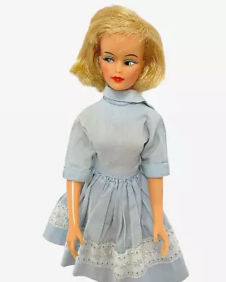 Vintage 1965 Tammy Family Glamour Misty Ideal Toys Miss Clairol Collectible Doll • $36.99
