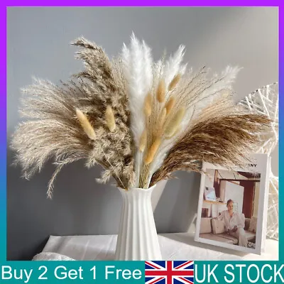 15Pc Natural Dried Pampas Grass Reed Flower Bunch DIY Flower Home Decor UK • £6.89