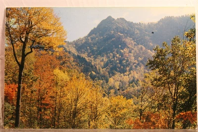 $0.50 • Buy Great Smoky Mountains National Park Chimney Tops Postcard Old Vintage Card View