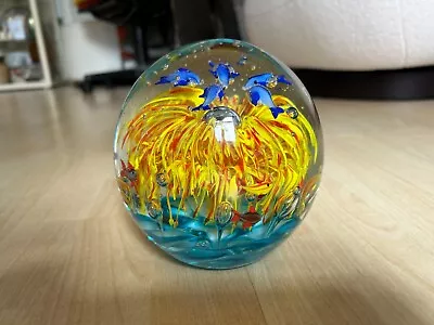 Murano Venetian ??? Aquarium Fish Very Large Heavy Glass Paperweight • £49.99