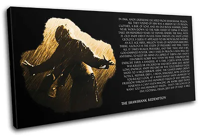 £69.99 • Buy Shawshank Movie Quote Typography SINGLE CANVAS WALL ART Picture Print VA