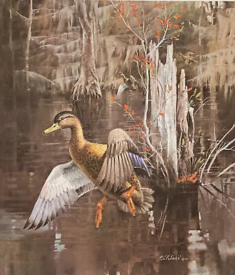 R.J. McDonald Walker's Pond Black Duck Ducks S/N Art Print  18 X 12 • $125