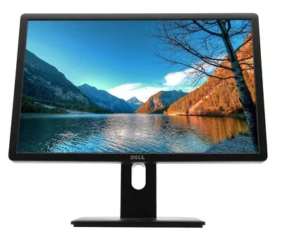 Dell P2213t 22  1680x1050 Widescreen TN LCD Monitor - VGA DVI-D DP • £33.95