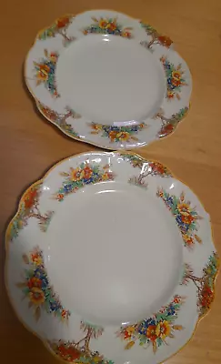 J & G Meakin Sunshine Sol 391413   Aintree  Reg 561073  13 Pieces With Damage • $18