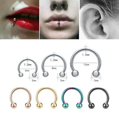 $3.99 • Buy HorseShoe Piercing Hoop Bar Ring Earring Lip Septum Cartilage Tragus Helix Ball