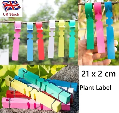 UK Stock Loop Lock Garden PVC Plant Label Tree Self Tie Tags Waterproof 21 X 2cm • £2.99