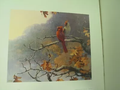 Autumn In The Spring By Mario Fernandez Cardinal Pair Print • $90