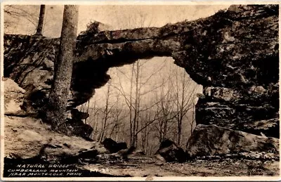 Vintage Postcard RPPC Natural Bridge Cumberland Mountain Monteagle Tennessee A10 • $7.99