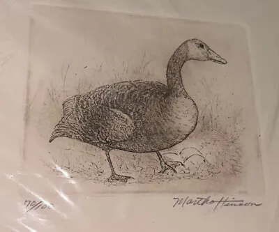Martha Hinson Etching Canadian Goose Signed & Numbered 70/100- HTF Limited • $45