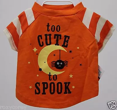 Halloween Martha Stewart Orange & White Too Cute To Spook Pet Dog Shirt Medium • $19.99