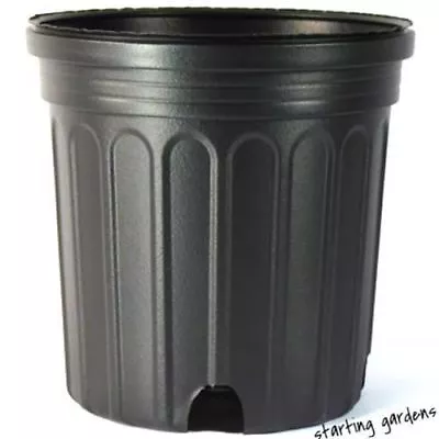 2 Gallon Nursery Pot (Qty. 50) Black 2 Gallon Trade Greenhouse Containers • $61.99