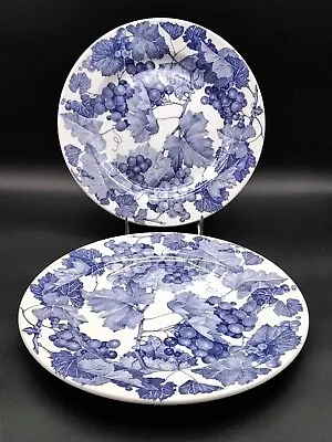 2 Ceramica Quadrifoglio Blue White Grapevine Dinner Plates Italy 10.25  • $16