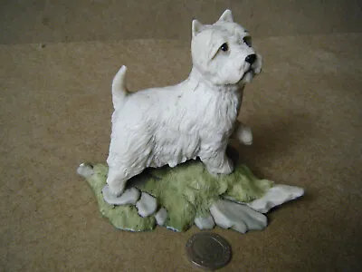 Vintage Aynsley  WEST HIGHLAND TERRIER  Figurine. Produced In 1985. Unboxed. • £7.99
