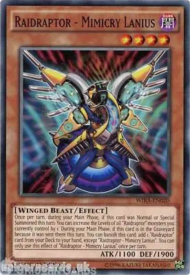 WIRA-EN020 Raidraptor - Mimicry Lanius 1st Edition Mint YuGiOh Card • $1.23